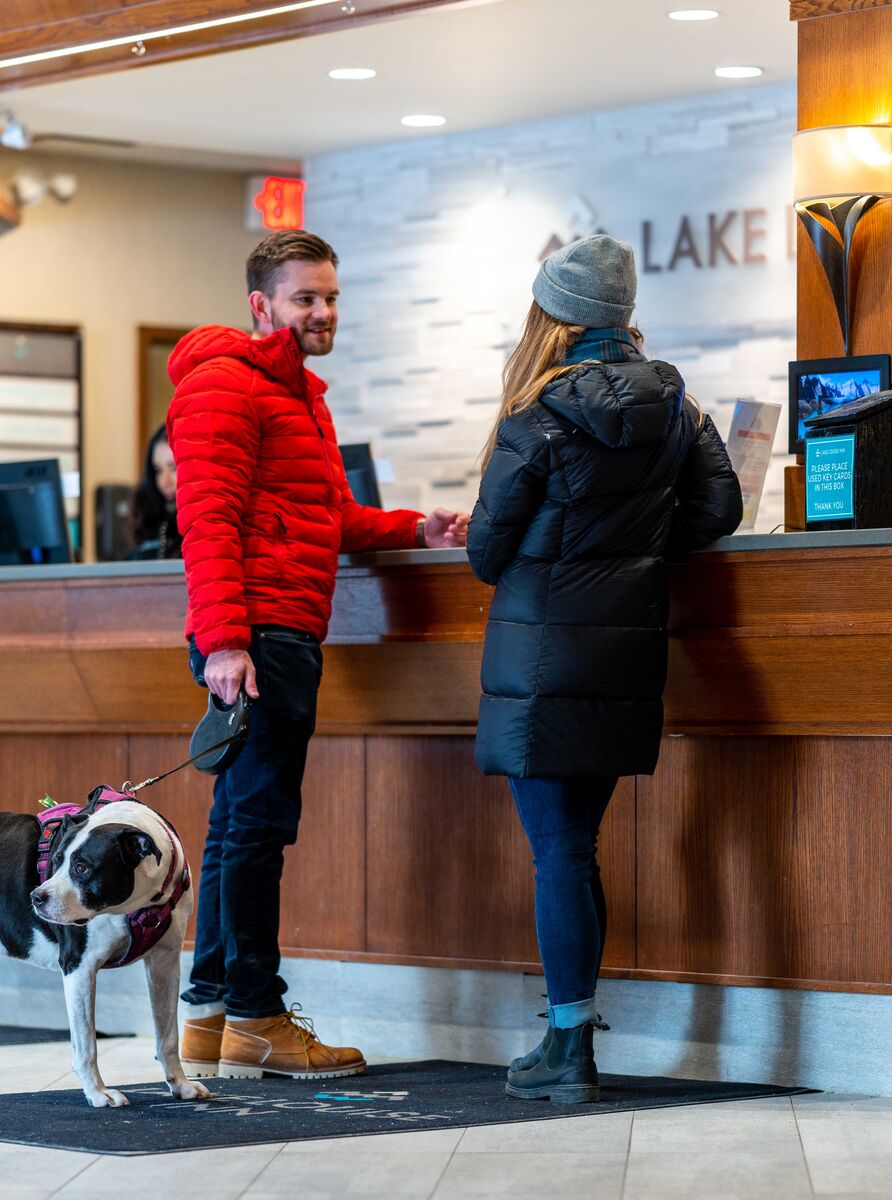 Dog Friendly Hotel